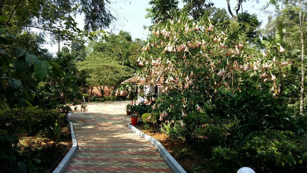 Hôtel Leisure Vacations Whispering Woods à Madikeri Extérieur photo